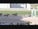 2019年6月2日盛岡競馬9R ２０１９地方競馬ＪＣＳファーストステージ第１戦(C1) コスモパープル