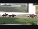 2019年6月2日盛岡競馬10R ２０１９地方競馬ＪＣＳファーストステージ第２戦(C1) ルーク