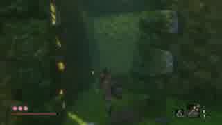 【SEKIRO：隻狼】火薬庫のちょび髭による忍日誌Part35【水中巡り】