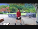 おねがいダーリン  踊ってみた【ろーる】