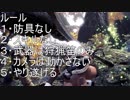 【この身一つで】ＭＨＷ縛り実況ＰＡＲＴ１２【お前の移動でストレスＭＡＸ・リオレウス編】