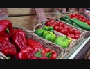 Food Market - Peppers　齋藤允賀