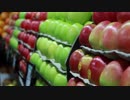 Food Market - Apples　齋藤允賀