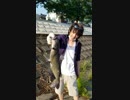 霞ヶ浦でヌシ釣ったった□