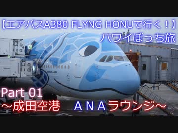 【フライングホヌの背に乗って】　Ｐａｒｔ１　～成田空港　ＡＮＡラウンジ～　【ハワイぼっち旅】