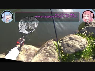 【VOICEROIDフィッシング】ことづり！ #1_管釣りに行こう！