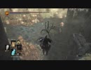 【実況】　ダークソウル３　聖職者!?冒険譚229章
