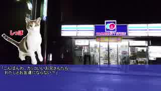 【実卓リプレイ】消えた店主～前編～【キャットゥルフ】