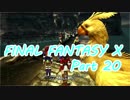 【実況】(/・◇・)/＜FFX HDを大人になったので！ #20