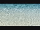 【NNI】 my sea【オリジナル】