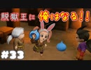 口の悪いのがお好み…(*'ω'*)【ドラゴンクエストビルダーズ２】： 33