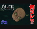 【ALICE MADNESS RETURNS 】ゲーム終盤に来ていよいよ意味不明すぎるミニゲーム Part25