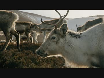 スコットランドのフレンズ 第二章「移ろう季節はいずれも厳しく」