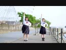 【肥満体とふなっしーすきが】CALL ME CALL ME　踊ってみた【らんとふなこ】