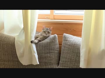 ロウ＆ヒロセ説明会