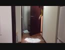 深夜4時に友達の家を荒らしてみた