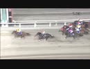 2019年6月4日大井競馬11R ’１９メトロポリタンジューンカップ(JRA2勝クラス・A2B1) コパノジャッキー