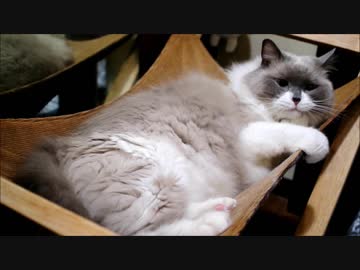 おていれだいじ