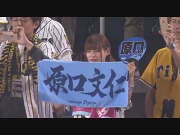 渡部優衣ことゆい㌧さん、今度は千葉で発見される