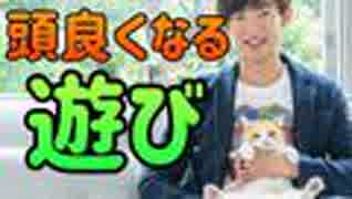 1.5倍も頭が良くなる【エクストリームな遊び】とは