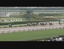 パラーティウム　阪神・3歳未勝利　2019年6月2日