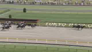 マイウェイアムール　東京・富嶽賞　2019年5月25日