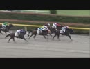 グーガルラヴィ　東京・3歳未勝利　2019年6月1日