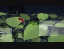 絶対的少年値/MI8K**歌ってみた**だーくん