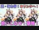 【リンクスリングス】脱！初心者！CランクからBランクへの道！おすすめキャラ！【響姫】#3