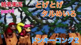 □■スーパードンキーコング2を姉弟で協力実況 part4【姉弟実況】