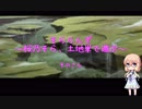 【桜乃そら×MTG】そららんず　そのさん【レガシー・土地単】