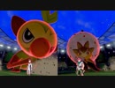 【初見】おきらくな二人がPokémon Direct 2019.6.5を実況！