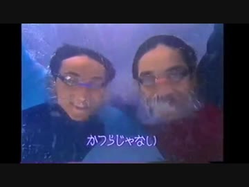 スーパールーランド大柴２　俺の弟は６人もいないけど水に強いんだぜアデランスゾーン