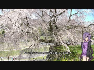 結月ゆかりと旅のあとさき【VOICEROID車載】