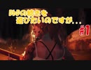 DbDの続きを遊びたいのですが... #1
