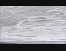 【悲劇！】思い出の海水浴　あなたはこの動画の何が一番悲劇だと思いますか？　泣ける…