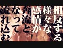 【MAD】PAЯANØiSE【さよならを教えて】
