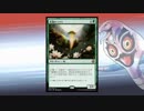 マジックカメックス その５
