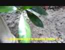 Professional Dryer Vent Cleaning in Nashville TN - Dryer Vent Tech