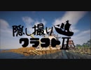 【Minecraft】隠し撮りクラフトⅡ part28【マルチプレイ】最終回(仮)