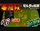 【ゼルダの伝説DLC実況】ちょっとその武器は黙認できない part6