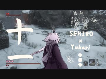 相対的に見て熟達の忍びであるゆかりさんがカンスト鐘苦難の世界を逝く。十一話