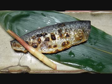 ゴマサバで呑む【長火鉢とおっさん116】