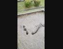 旅先にて・・・