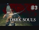 【実況】死にゲーの洗礼【DARK SOULS REMATERED】♯3