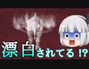 【SPORE】幽々子様を宇宙の頂点にしてみせる！【ゆっくり実況】＃2