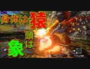 【初見】嫁大好き厨二病の私がMHXXをやる!【実況】part9
