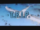 【メドレー合作】TRIP