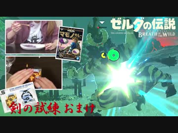 【実況】新たな冒険へ！ゼルダの伝説 ブレスオブザワイルド 剣の試練リベンジ【極位おまけ】