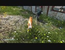 Fallout4　ＭＯＤ緑化を入れてゼロからスタート４６